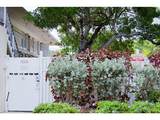305 16th St - Photo 3