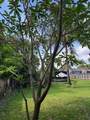 2411 Adams St - Photo 48