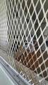 4200 3rd Ct - Photo 19