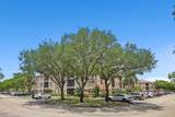 4161 Coral Tree Circle - Photo 3
