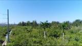 0 Unknown - Photo 7