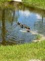 1406 Gopher Ter - Photo 19