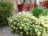 7320 Lake Circle Drive - Photo 31