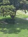 9491 Evergreen Place - Photo 61