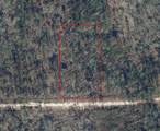 0 Mulberry Drive - Photo 4