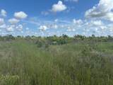 0 318th Street - Photo 2