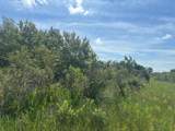 0 318th Street - Photo 2