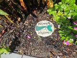 44 Woodland Drive - Photo 26