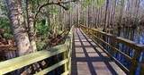 3330 Forrest Ridge Avenue - Photo 4