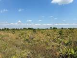 0 318th Street - Photo 1