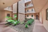 4101 Coral Tree Circle - Photo 35