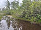 0 Holopaw Groves Road - Photo 2