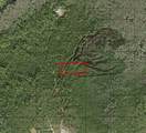 0 Holopaw Groves Road - Photo 3