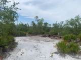 0 Holopaw Groves Road - Photo 4