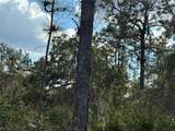Lot 21 & 22 Plumosa Drive - Photo 1
