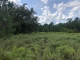 0 Old Grade Road - Photo 1