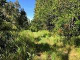 0 Old Grade Road - Photo 1