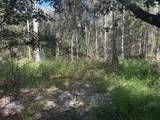 0 County Rd 54 - Photo 2