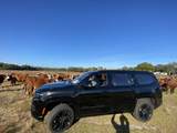 3605 Gordy Road - Photo 36
