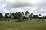 560 Palm Street - Photo 7