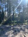 0 Slash Pine Trail - Photo 3