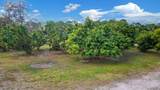 3446 Cabbage Palm - Photo 46