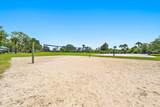 6238 Dania Street - Photo 28