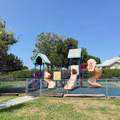 53 Heather Cove Drive - Photo 50