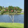 53 Heather Cove Drive - Photo 59