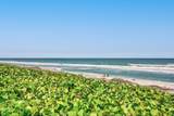 105 Mainsail Circle - Photo 60