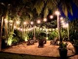 15385 Meadow Wood Drive - Photo 45