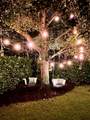 15385 Meadow Wood Drive - Photo 46