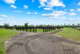 16175 Deer Path Lane - Photo 3