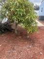 2281 15th Street - Photo 12