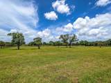 7569 168th Court - Photo 5