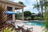 123 Grand Palm Way - Photo 33