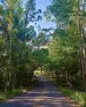 162 Palmetto Boulevard - Photo 3