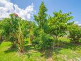 432 Watercrest Street - Photo 33