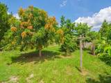 432 Watercrest Street - Photo 36