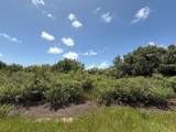 17666 250th Street - Photo 25