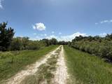 17666 250th Street - Photo 26