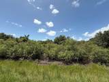 17666 250th Street - Photo 28