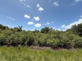 17666 250th Street - Photo 29