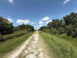 17666 250th Street - Photo 30