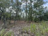 Tbd Tree Top Road - Photo 1