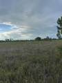 17757 304th Street - Photo 3
