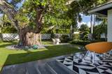 201 Palm Trail - Photo 61