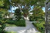201 Palm Trail - Photo 8