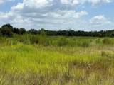 305 Fawn Trail Street - Photo 10