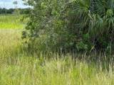 305 Fawn Trail Street - Photo 13